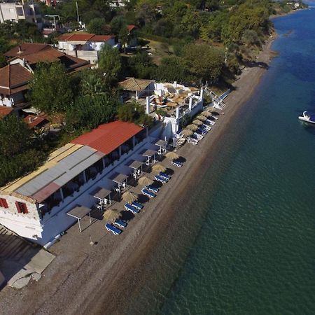 Taradella Hotel Alissos 외부 사진