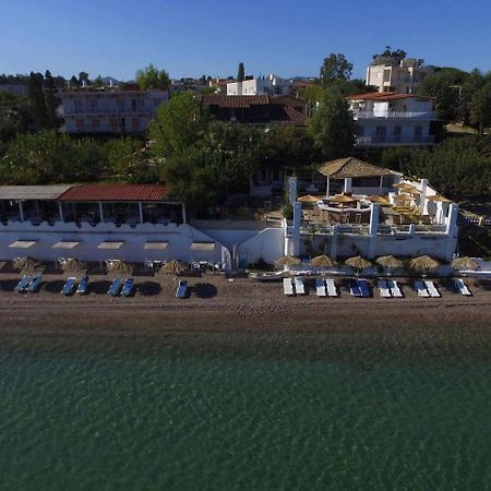 Taradella Hotel Alissos 외부 사진